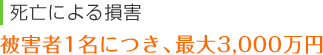 死亡による損害被害者1名につき、最大3,000万円