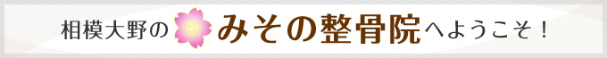 相模大野のみその整骨院へようこそ！